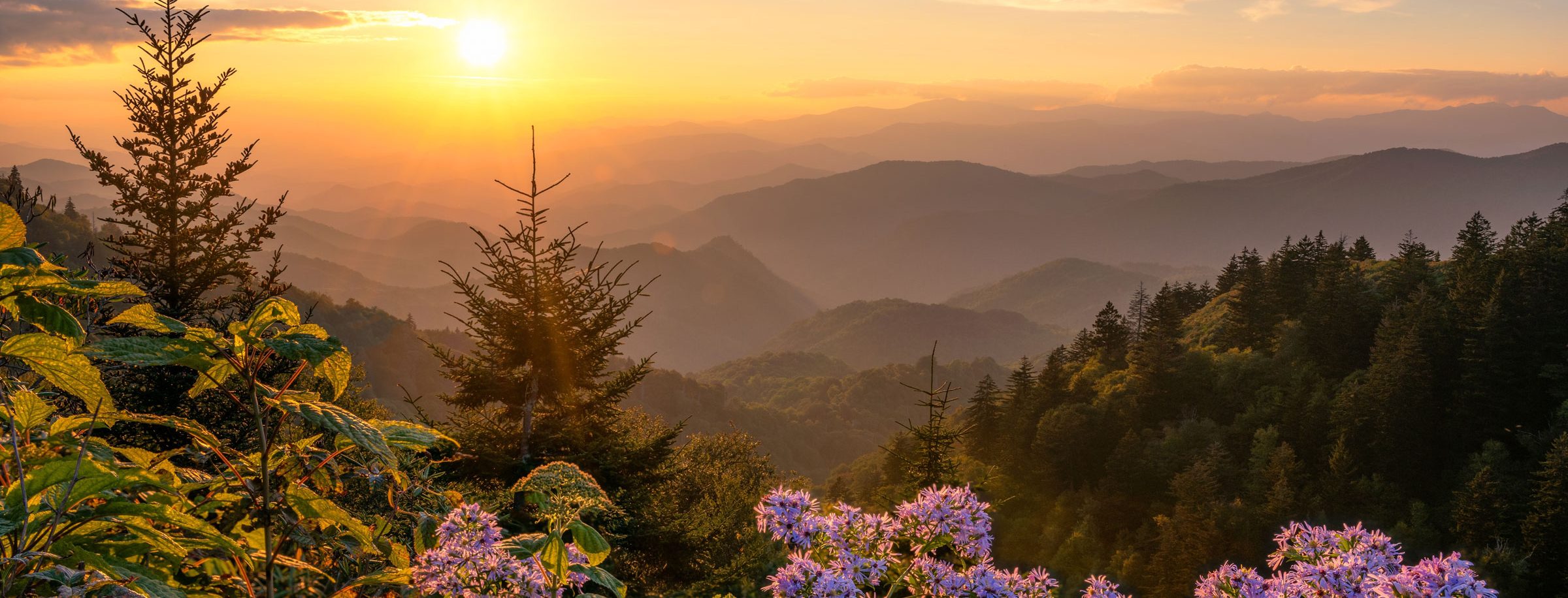 2481201371 Mountain Home Services